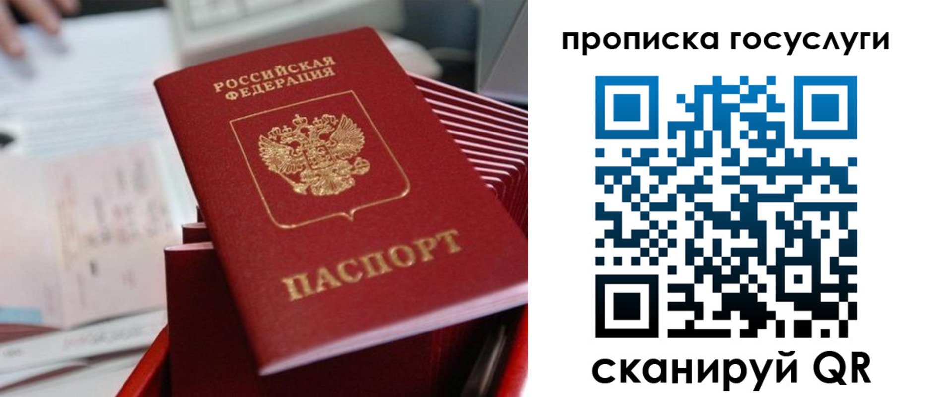прописка законно в Юрьев-Польском